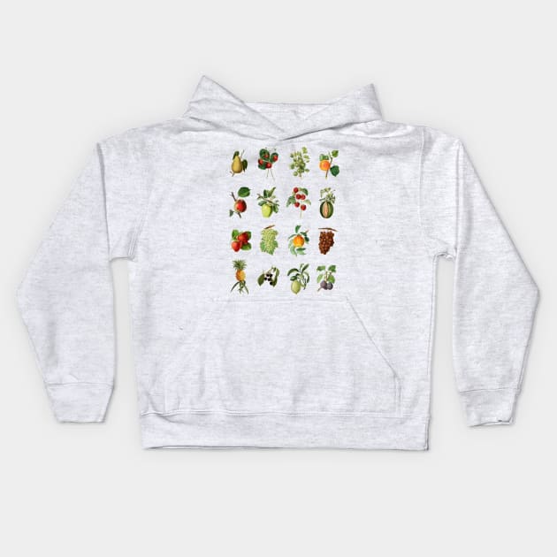 Vintage Fruit Multi Design Set Kids Hoodie by Amanda Jane